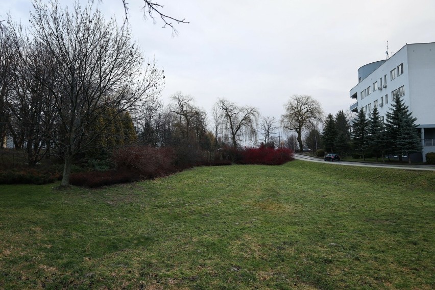 Akademik dla WSIiZ-u może stanąć, ale w sąsiedztwie Parku Sybiraków w Rzeszowie