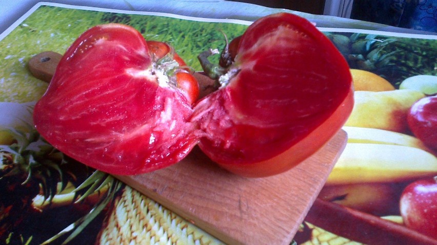 Kilogramowy pomidor - OLBRZYM!