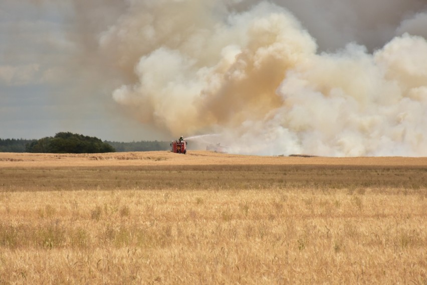 Pożar pola w okolicach Tuczęp