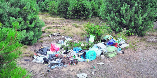 Poligon może i jest rozminowany,  ale gołym okiem widać, że i zaśmiecony