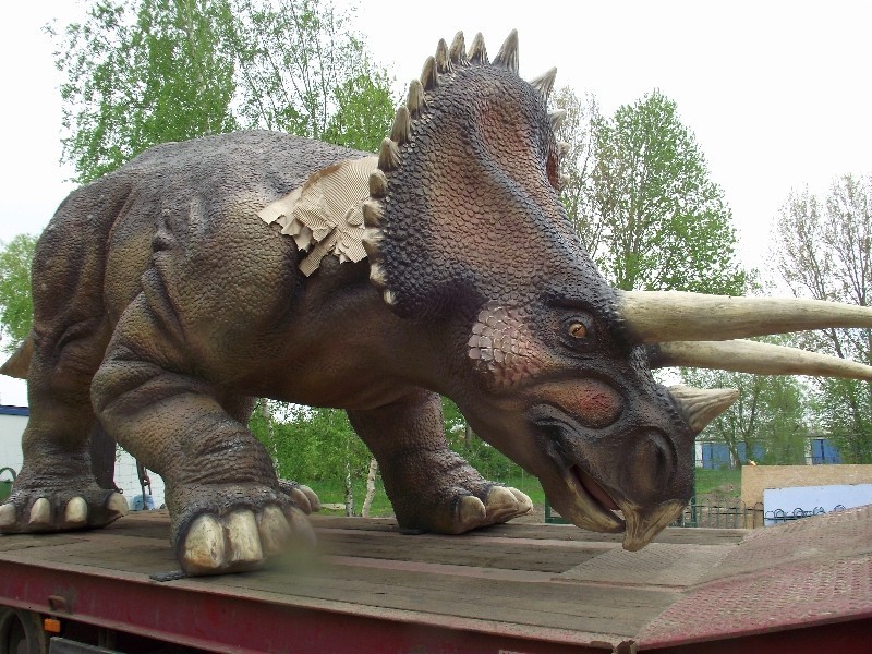 Lubin: Jest pierwszy dinozaur w parku