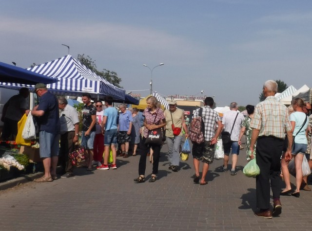 W czwartek 30 czerwca na targowisku Korej w Radomiu panował spory ruch. Klienci najchętniej kupowali świeże warzywa i owoce. Dużym zainteresowaniem cieszyły się również rośliny ogrodowe. Zobacz zdjęcia na kolejnych slajdach.