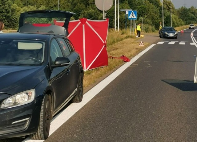Do wypadku doszło 30 czerwca 2022 roku, na oznakowanym przejściu dla pieszych w rejonie skrzyżowania ulicy Północnej i Wygody w Żorach