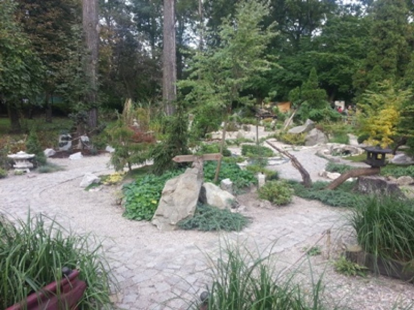 Ogród Botaniczny w Zabrzu: japoński "Ogród Pięciu Świec"...