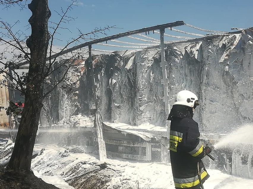 Pożar samochodu ciężarowego w Solcu w powiecie opoczyńskim na drodze krajowej nr 74 [ZDJĘCIA]