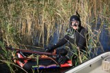 Spearfishing: zanurkuj z kuszą i poczuj się łowcą!