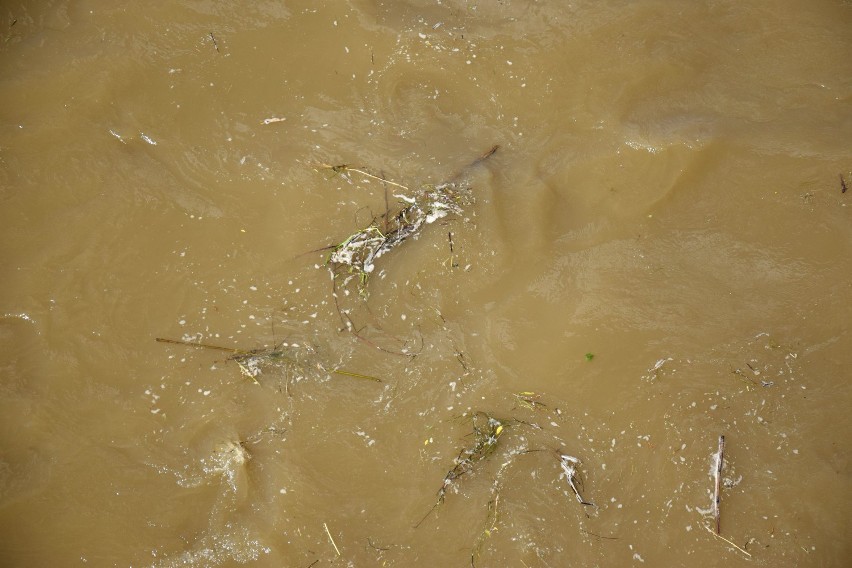 Po ostatnich deszczach podniósł się poziom wody w Sanie w Jarosławiu [ZDJĘCIA]