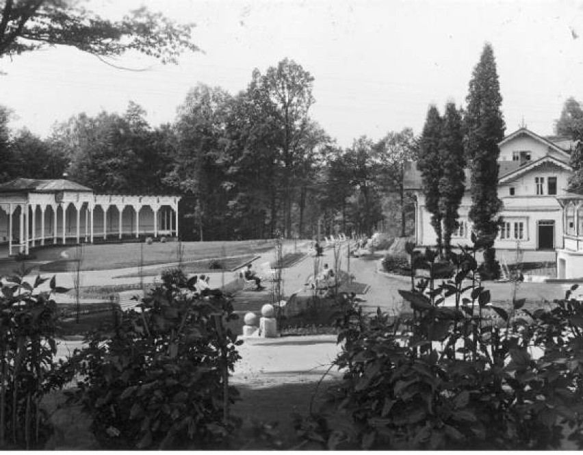 Park Zdrojowy w Jastrzębiu przed wojną? Tak pięknie się prezentował! Zobacz te unikalne ZDJĘCIA