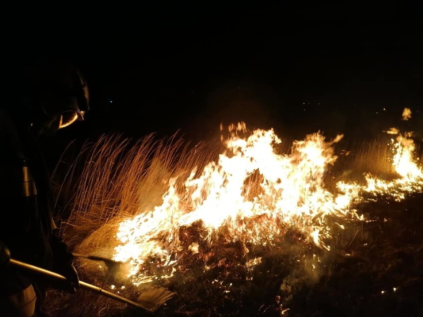 Druhowie z Krygu walczyli z płonącą łąką. Ogień strawił...