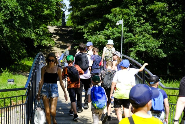 Park miejski na Bydgoskim Przedmieściu po rewitalizacji. Mieszkańcy przyznają, że jest mniej "dziki" niż przed pracami, ale uważają, że stał się bardziej dostępny i zadbany.