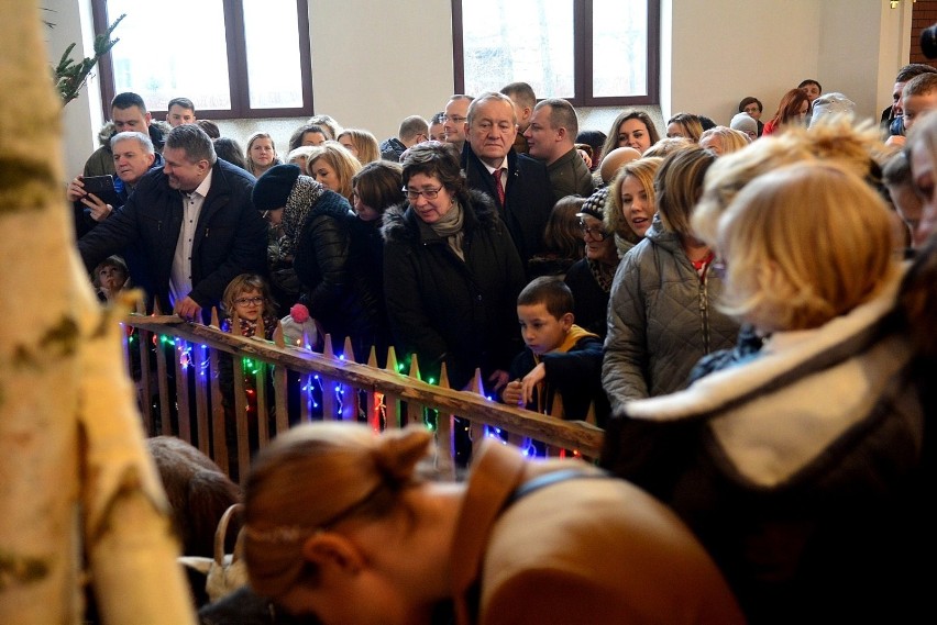 Bożonarodzeniowe szopki w radomskich kościołach. Żywa szopka na Michałowie, największa - u ojców bernardynów