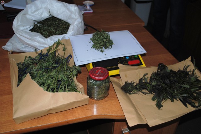 Policjanci znaleźli 300 gramów konopi