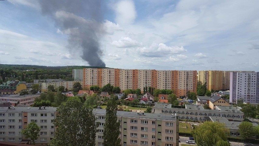 Pożar pustostanu na prawobrzeżu w Szczecinie. Dym widać już z daleka [zdjęcia, wideo]
