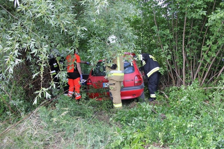 Zieleń: kierowca wypadł z drogi prosto w krzaki