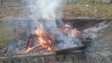Jelenia Góra: Palił stare meble w ogrodzie, interweniowała straż miejska
