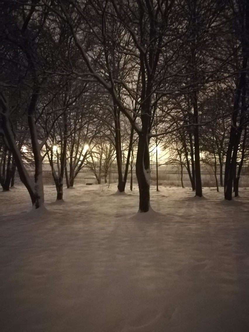 Zima w Chorzowie 2019: mieszkańcy nadesłali nam liczne...