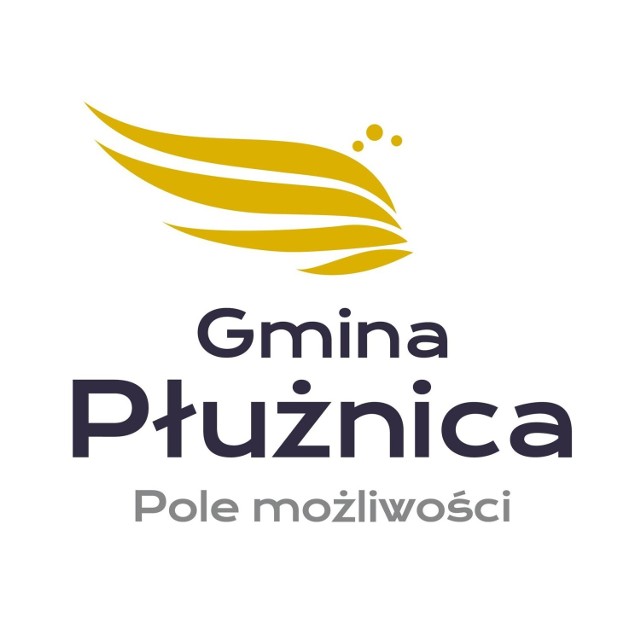 Tak wygląda logo gminy Płużnica