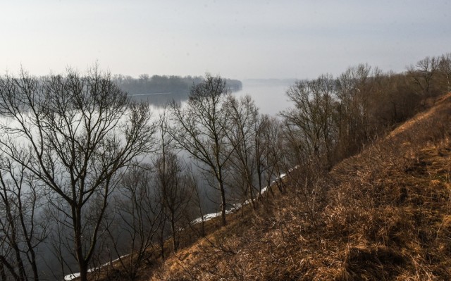 Tu mniej więcej miałaby stanąć wieża widokowa - pierwsza w Bydgoszczy