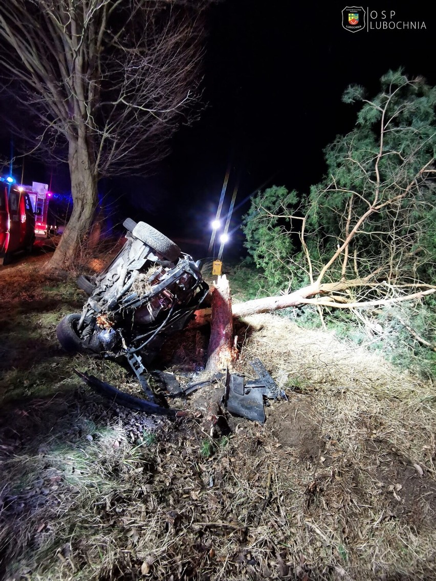 Samochód rozbił się na drzewie w Lubochenku koło Tomaszowa Maz. Kierowcy spadł telefon pod fotel... [ZDJĘCIA]