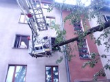 Drzewo przewróciło się na blok mieszkalny w Braniewie [Zdjęcia]