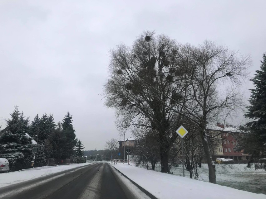 Śnieg zaskoczył kierowców. Drogi w Obornikach