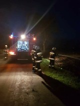 Gmina Dobrzyca. Wieczorny pożar przydrożnych traw 