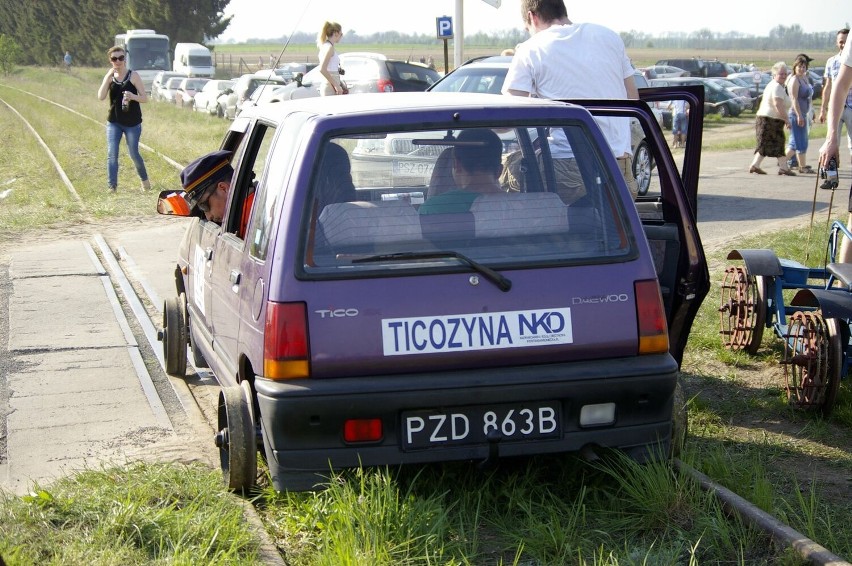 Międzynarodowe targi tulipanów w Chrzypsku Wielkim - 1 maja