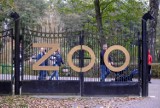 Gdańsk: Gdański Ogród Zoologiczny wznawia działalność. Zwiedzanie możliwe już od najbliższego wtorku, 19.05.2020 r.