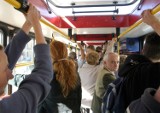 Wrocławskie MPK: "Ustąp miejsca seniorom". Nowa kampania w autobusach i tramwajach