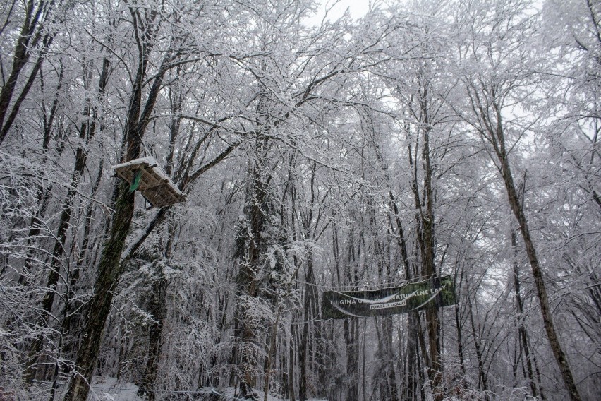 Piękne, zimowe lasy pomiędzy Makową i Arłamowem.