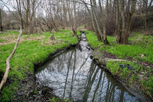 Kto zna Park Rzeczny Drwinka?