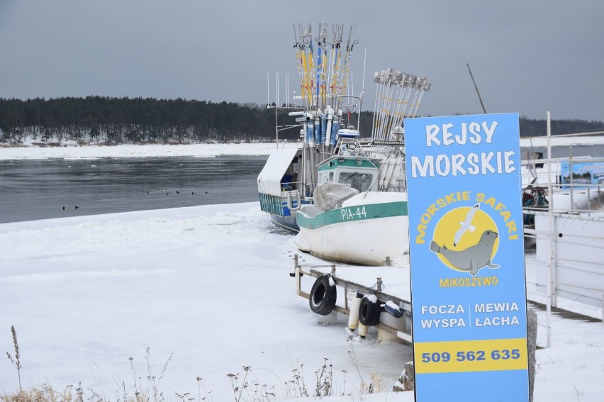 Mikoszewo: Wisła w zimowym wydaniu. Okolice rzeki w śnieżnej scenerii