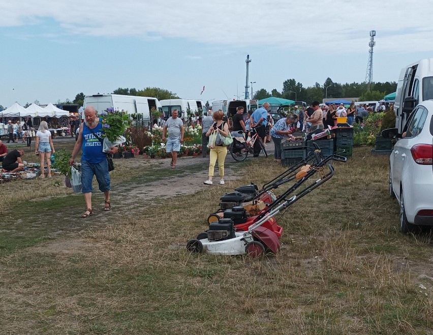 Tak było na targowisku w Golubiu-Dobrzyniu w piątek 12...