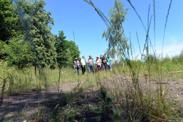 Mieszkańcy widzą tam park z alejkami do spacerów i pikników, a nie składowisko śmieci i  bazę  noclegową dla bezdomnych, tak jak dotychczas. Urzędnicy już wzięli się do prac, które pomogą  wizję mieszkańców  urzeczywistnić. 

Zgodnie z harmonogramem określono już zakres porządków, w ramach  których  usunięte zostaną  elementy fundamentów zdewastowanego ogrodzenia oraz stare, nieczynne latarnie. Wykarczowane zostaną też pniaki pozostałe po drzewach.

Czytaj więcej informacji z Gdańska Nowego Portu
-&nbsp;Gdański Zarząd Nieruchomości Komunalnych na początku sierpnia ogłosi przetarg, w którym wybrany zostanie wykonawca powyższych prac- informuje Magdalena Kuczyńska z magistratu. Czas na przeprowadzenie porządków urzędnicy mają do końca listopada. Ale jak wskazują, jest szansa, że  skończą to już w październiku.