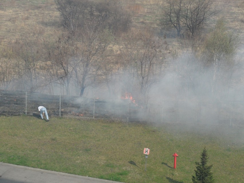 Sosnowiec: Pożar traw w Milowicach. Gasiliśmy ogień wspólnie ze strażakami [WIDEO,ZDJĘCIA]