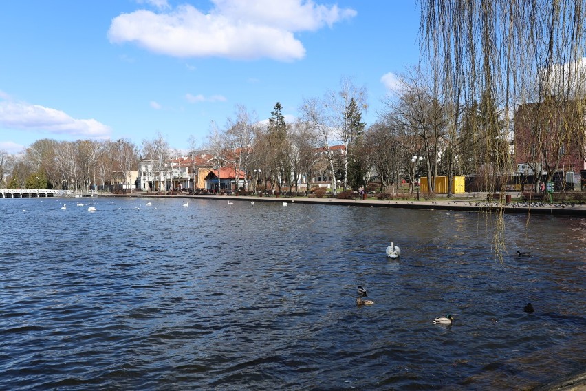 Jezioro Drwęckie w Ostródzie