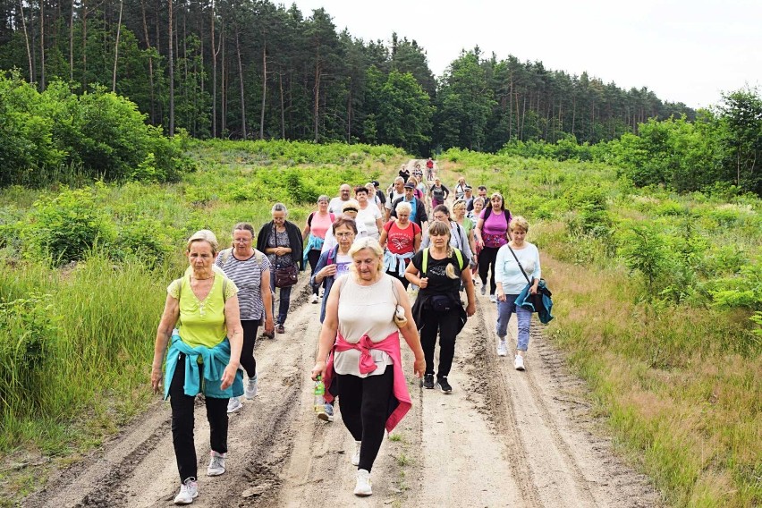 Całą trasę przeszła część grupy, a pozostali albo...