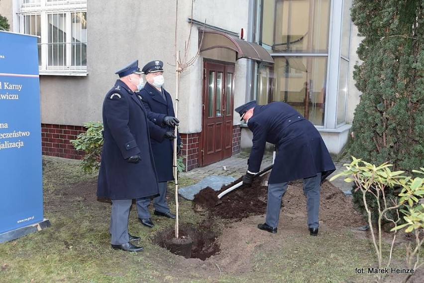 Zakład Karny w Rawiczu istnieje już 200 lat. Rocznicę upamiętniono posadzeniem drzewa oraz zakopaniem kapsuły czasu