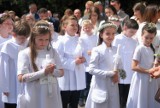 Komunie w Piotrkowie 2024: Pierwsza komunia w Kościele NMP Królowej Pokoju ZDJĘCIA
