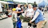 Giełda w Sandomierzu w sobotę 5 czerwca oblężona. Pogoda przyciągnęła tłumy klientów [ZDJĘCIA]