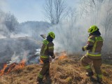 Pożary traw w powiecie piotrkowskim. Policja: Wypalanie traw jest nielegalne! ZDJĘCIA