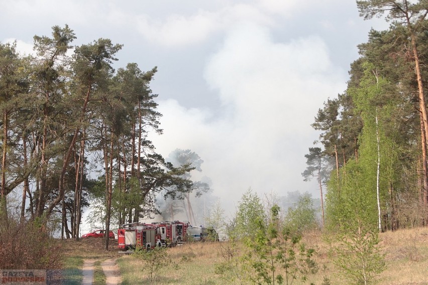 Pożar stodoły w Łęgu-Witoszynie