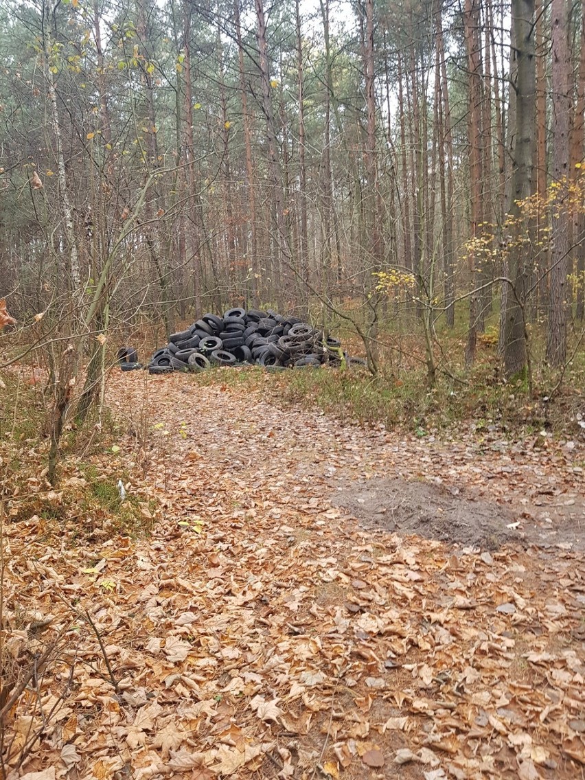 Ktoś wyrzucił do lasu 200 starych opon. Policja prosi o pomoc