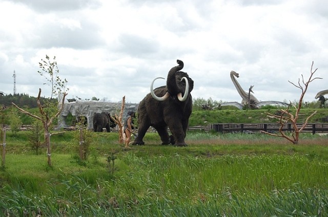 Łeba Park, ul. Kolonijna 24, Nowęcin k. Łeby

Park Dinozaurów to z pewnością miejsce dla całych rodzin. Można tam spotkać figury dinozaurów w skali 1:1, a wśród nich dwa ogromne 45-metrowego Seismosaurusa i Brachiosaurus o wysokości 13 metrów.

Oprócz wielkich eksponatów na terenie parku jest też małpi gaj, Dino kino, ścieżka edukacyjna czy pole do minigolfa.

Godziny otwarcia

23 – 29 kwietnia: 9:00-17:00
30 kwietnia  – 3  maja: 9:00-18:00
4 maja – 24 czerwca: 9:00-17:00
25 czerwca – 28 sierpnia: 9:00-19:00
29 sierpnia – 4 września: 09.00-17.00
5 września – 2 października:  09.00-16.00
 
Bilety
Bilet normalny: 40 PLN
Bilet ulgowy: 30 PLN
Bilet grupowy: 19 PLN