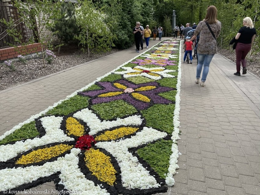 Rodziny przekazują sobie z pokolenia na pokolenia techniki...