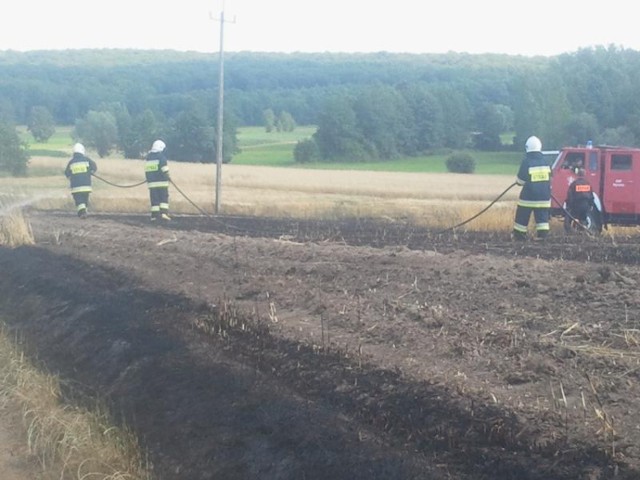 Pożar w Mełpinie. Płomienie wywołał kombajn? [ZDJĘCIA]