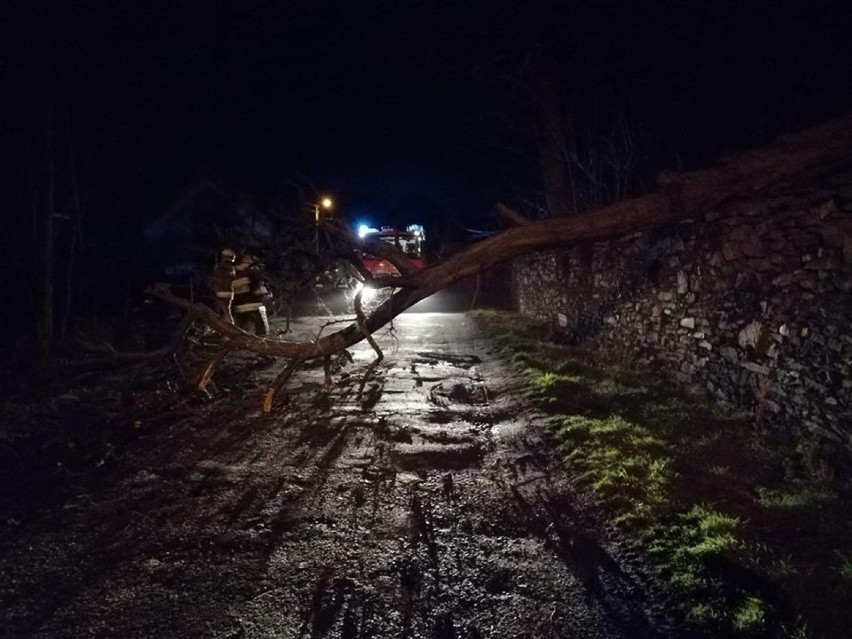 Dolny Śląsk. 4 osoby ranne, zerwane dachy i linie energetyczne, powalone drzewa po wichurze [ZDJĘCIA]