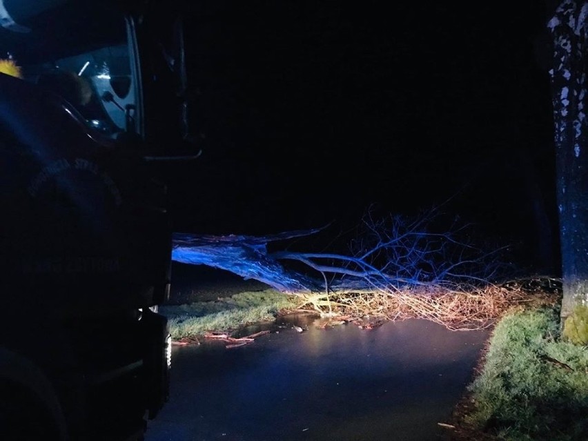Dolny Śląsk. 4 osoby ranne, zerwane dachy i linie energetyczne, powalone drzewa po wichurze [ZDJĘCIA]