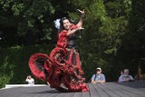 Kolorowo i wesoło w parku Wilsona - Romowie zapraszają na Festiwal Muzyki i Tańca Romskiego