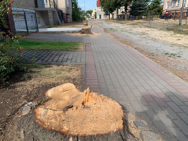 Drzewa przy ul. Mieszka I poszły pod topór. Część mieszkańców nie może odżałować straty